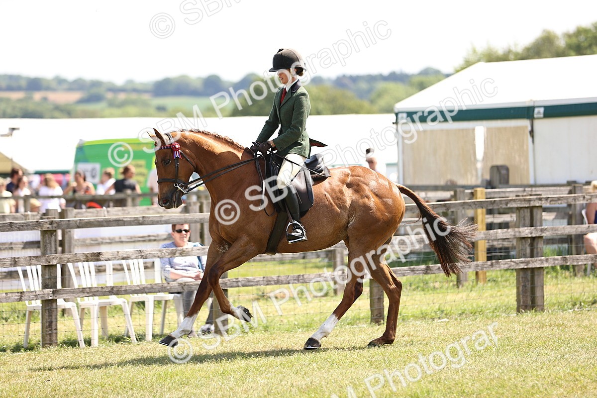SBM_14899 - Class 78 - LIHS BSHA Open Racehorse & Show Horse