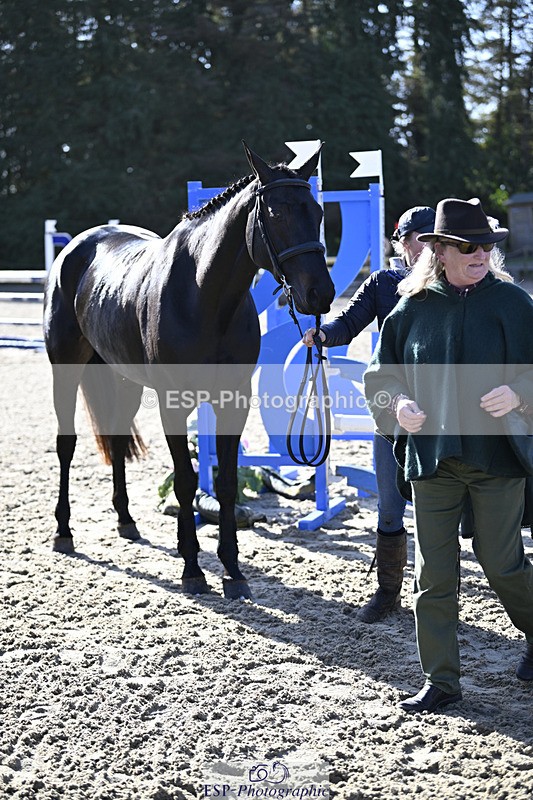 241026-121639-12775 - Presentations CCI 2 Star Long