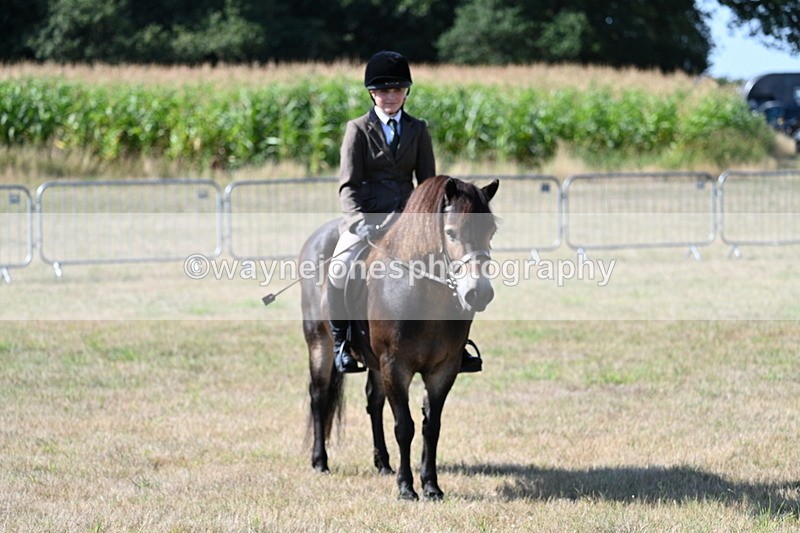 WJ7_3156 - Class 8 Ridden Tack & Turnout