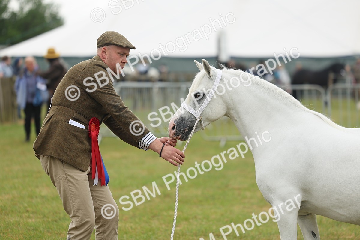 SBM_01682 - Class 50-57 - M&M Welsh Pony In Hand