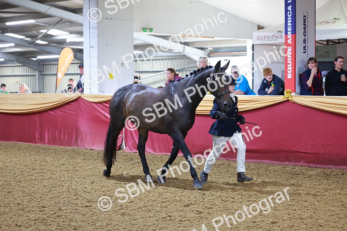 SBM_14726 - Class C - Novelty champ