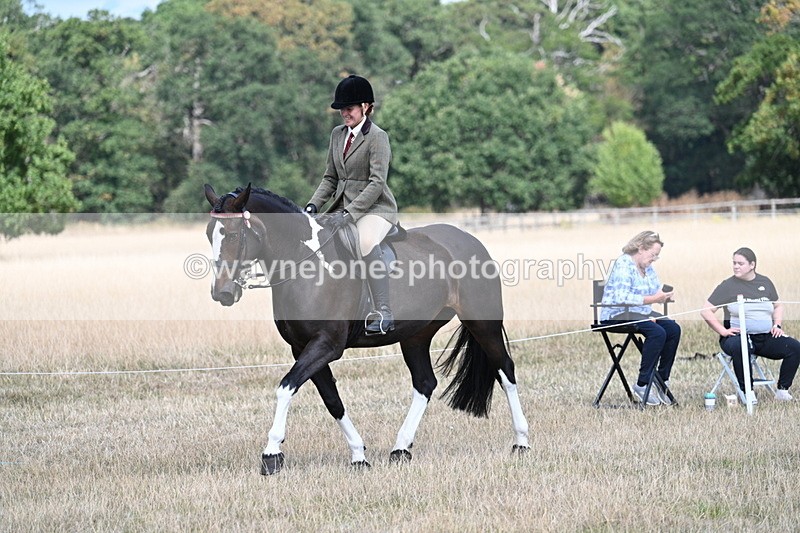 WJ7_6069 - Class 13 Ridden Veterans