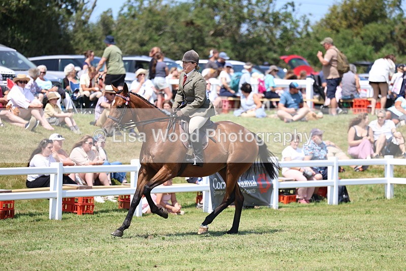 3E7A9348 - Class 12: Open Racehorse to Show Horse