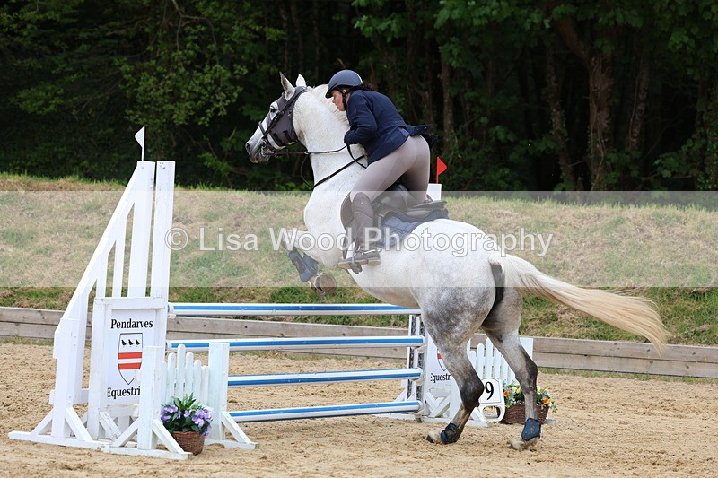 3E7A6084 - Class 4: Senior British Novice/90cm open