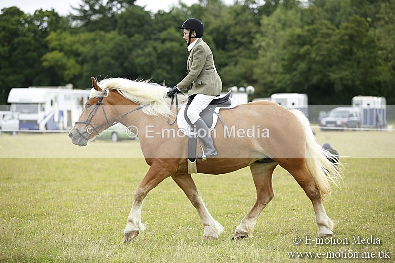 BVR160717-293 - Ring 1 BVRC Show 16/07/17