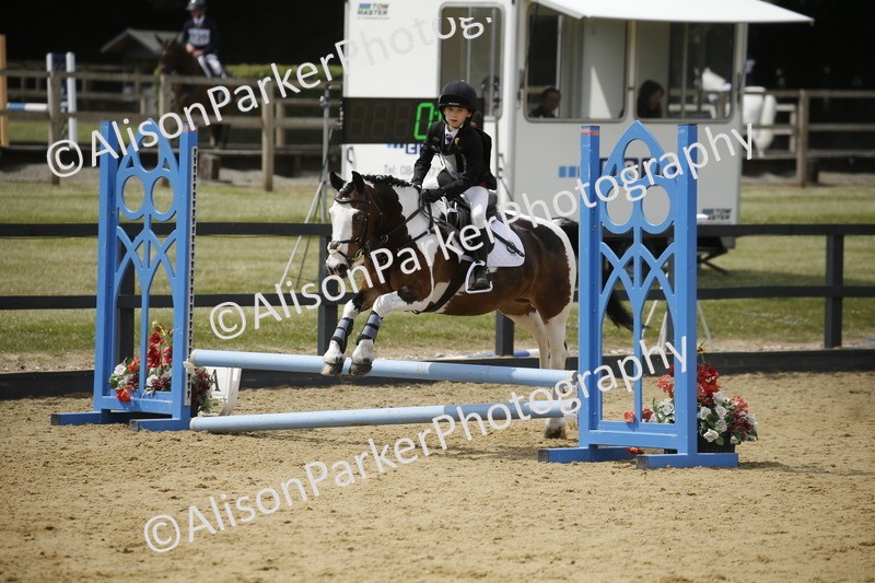 20250622-4123 - 50cm