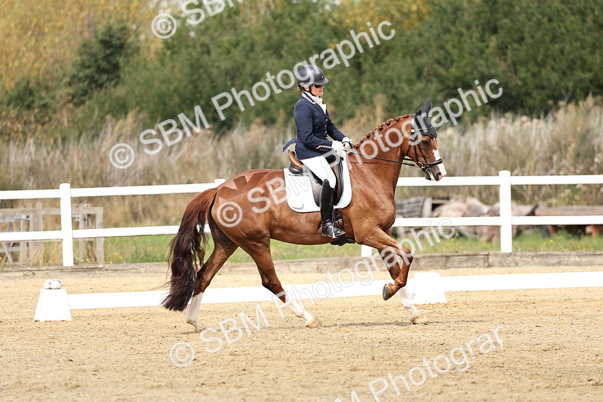 SBM_018233 - Class 16 - Novice 5 - 11.12-12.01