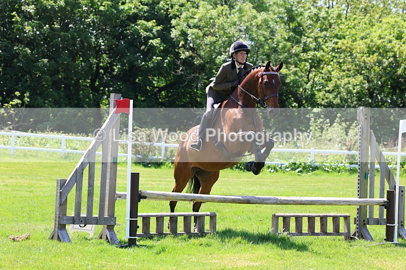 3E7A7450 - Class 31: Working Hunter Cob/Riding Horse