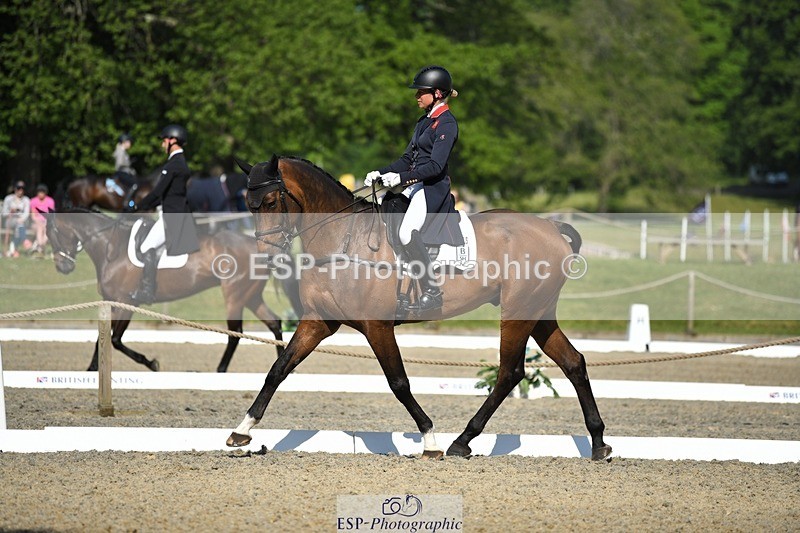 230525-092443-01592 - 305-BARRINGTON_57-Izzy_Taylor-WEDTrotUp+DR