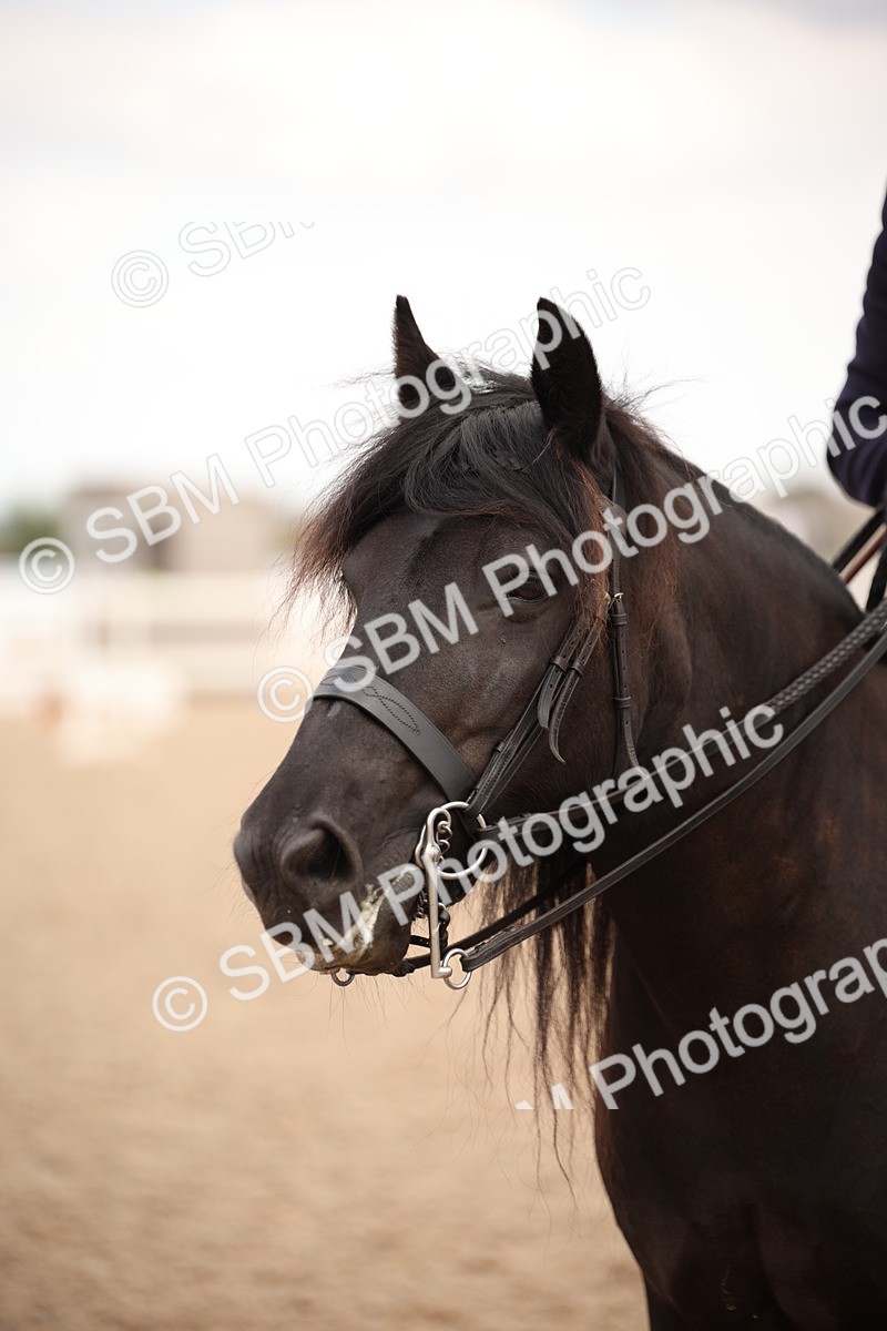 SBM_05397 - Class 22 SSA Equitation
