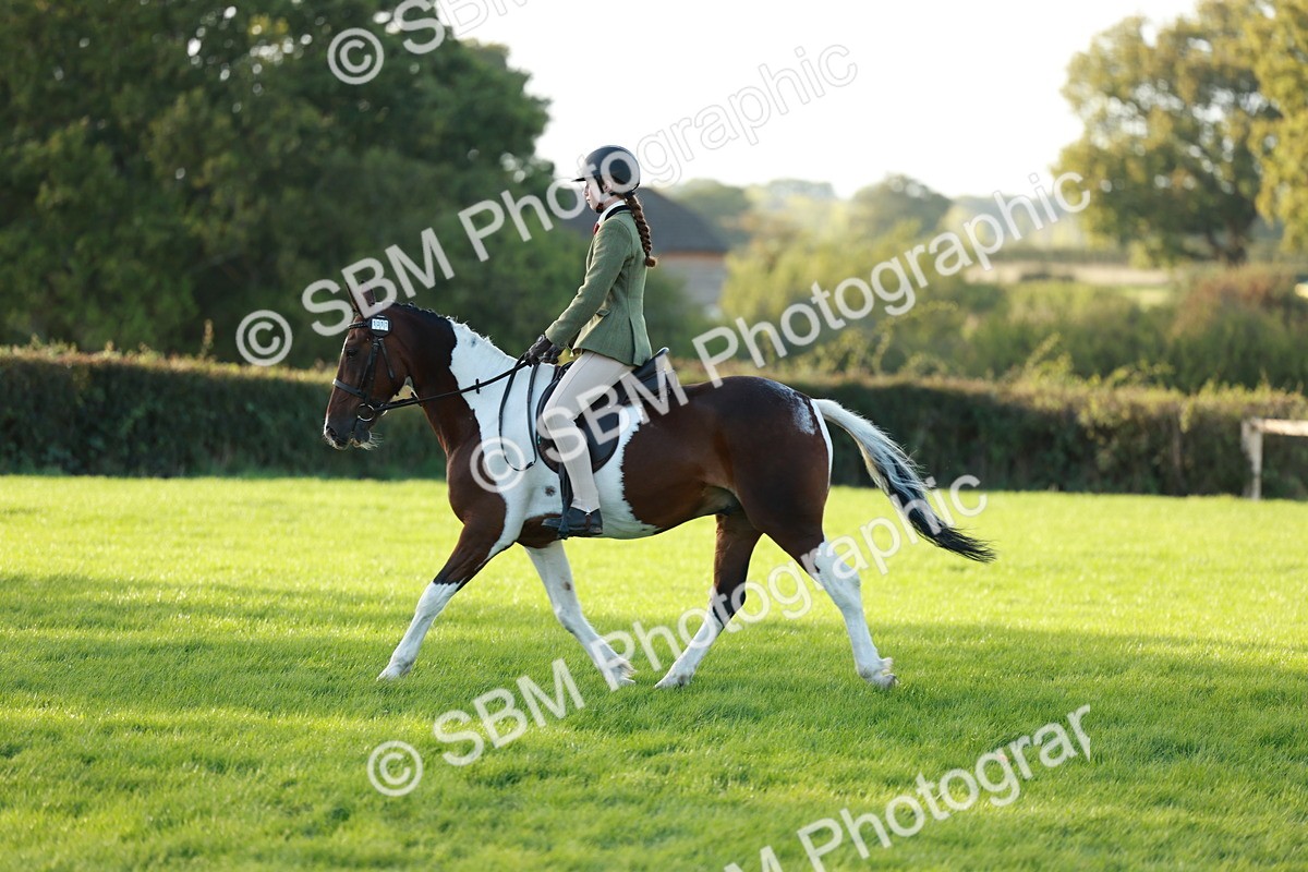 SBM_28787 - S7 - Novice & Newcomer Ridden Pony