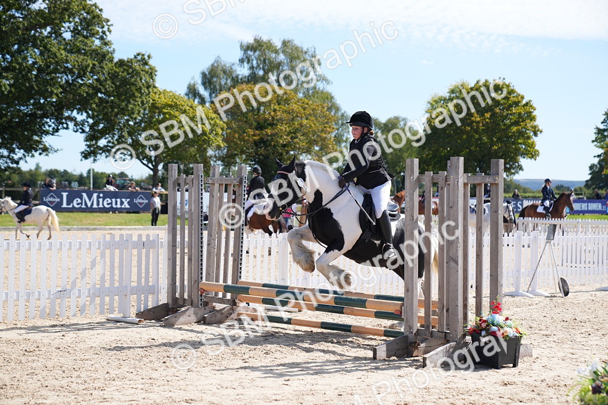 SBM_21498 - J49 - Open 50cm