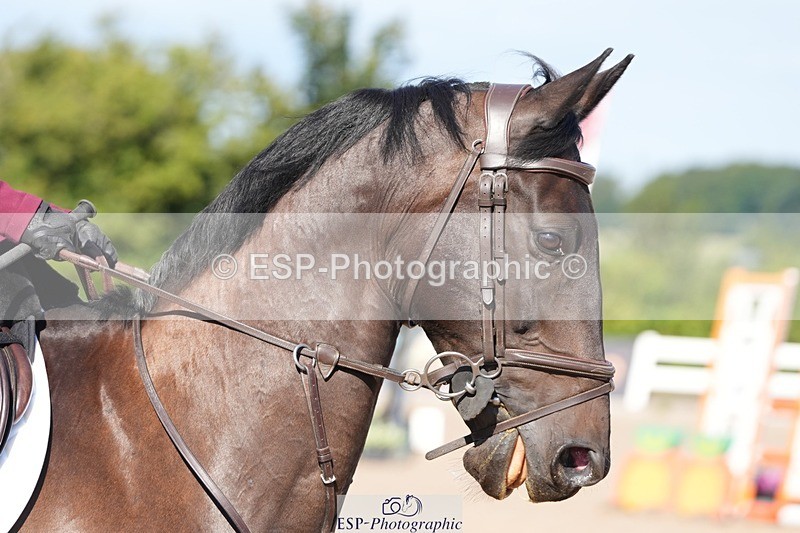 250802-093626-08364 - Cls 19 British Novice and 90cm Open