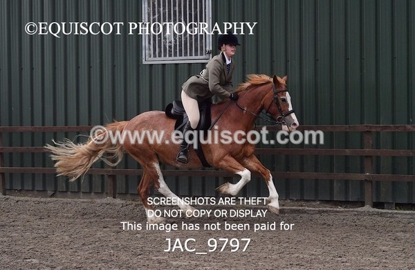 JAC_9797 - CLASS 2 Novice Working Hunter (0.60m - 0.70m)
