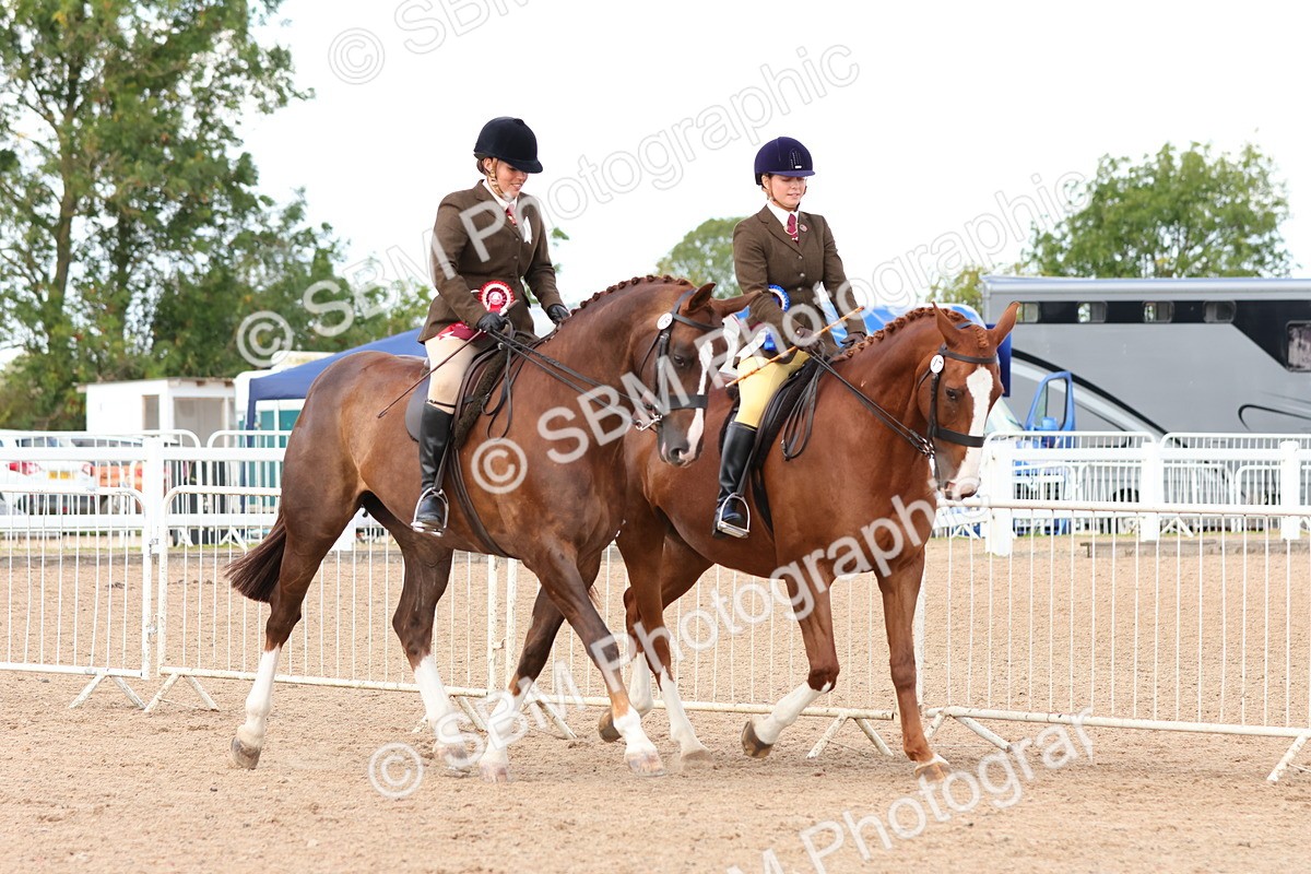 SBM_13588 - Class 212 - Ridden Hunter  - Large