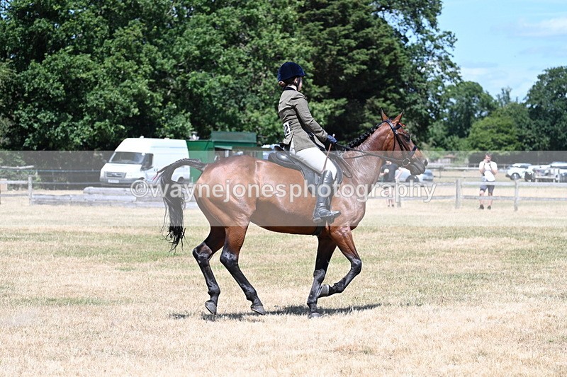WJ7_3095 - Class 7 Riding Club Show Horse