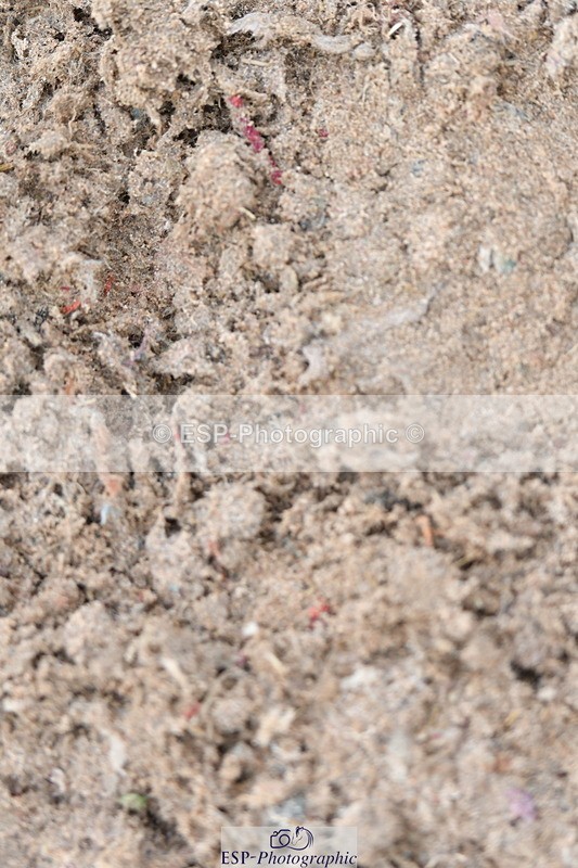 230511A-165126-01429 - Quest Cls 5 Prelim