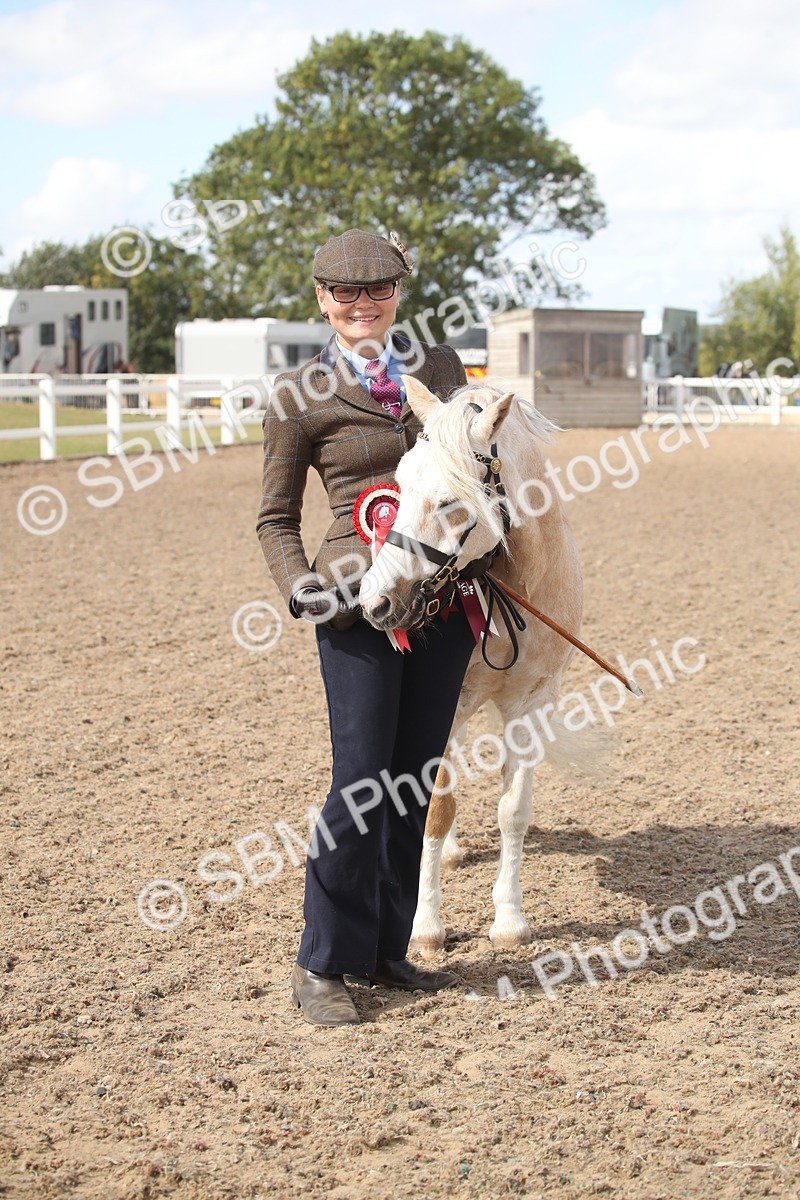 SBM_23484 - Class 604 - 2026 - Area IH Diamond