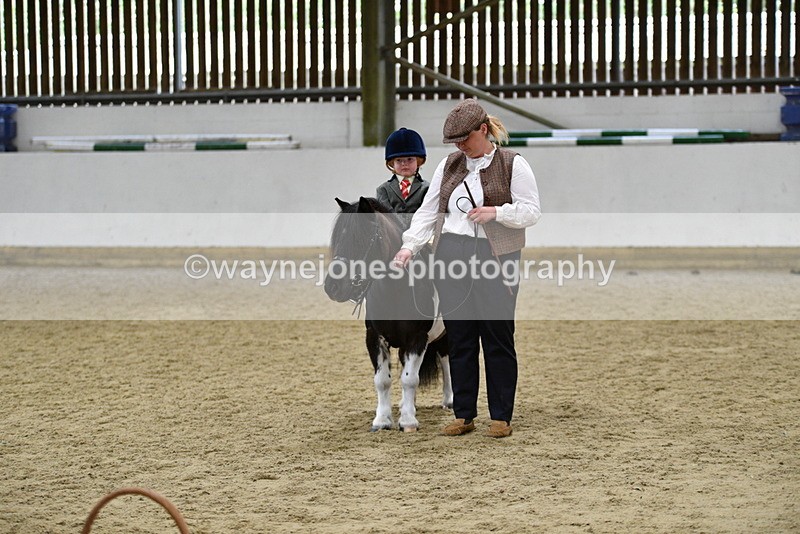 WJ5_7082 - Class 10 Childs Pony