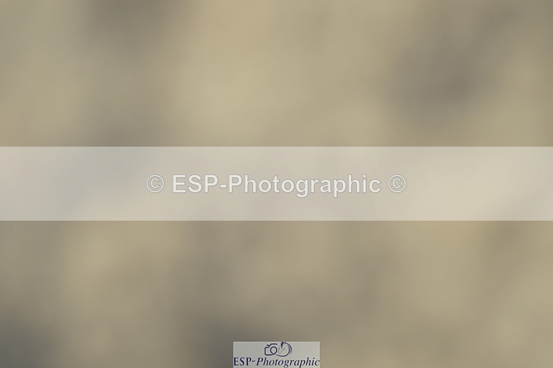 230909-170134-07184 - Cls 19 Club 70cm