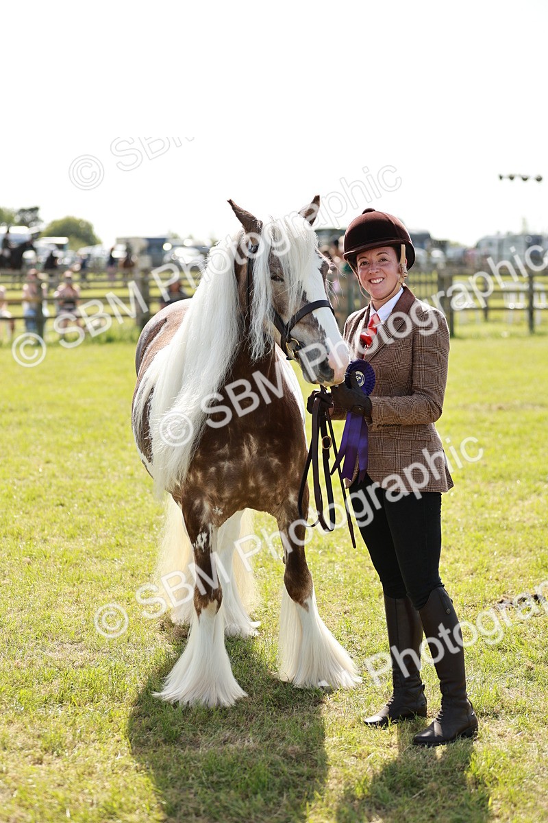 SBM_08939 - Class 63-65 - Traditional Gypsy Cobs In Hand & Ridden