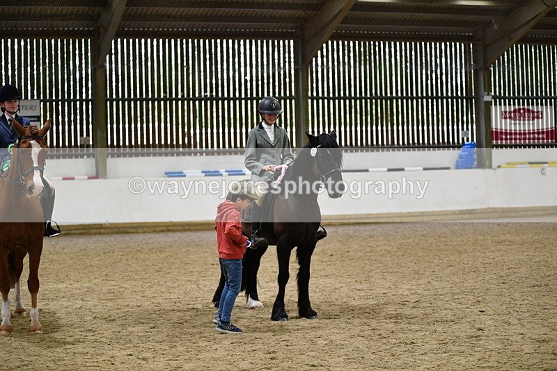 WJ5_8088 - Class 13 Ridden Part Breed