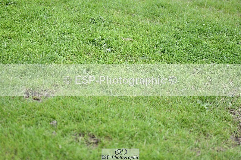 240711-122602-26918 - Cls 117 HOYS Grade C Quali 1.35m