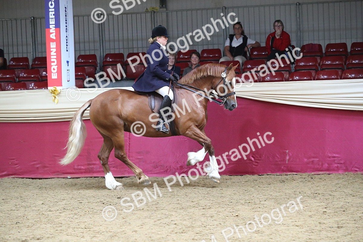 SBM_17192 - M&M Supreme Final Champ