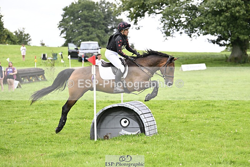 240804-145912-15565 - 557-Jodi_Cameron-WILLOWAY_HANDSOME_HARRY