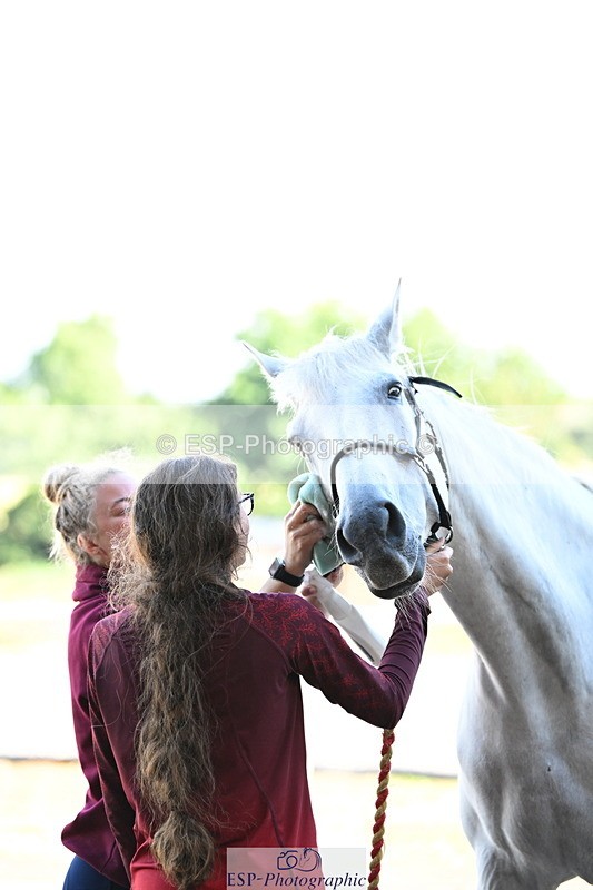 240809A-085824-00036 - Stable Shots