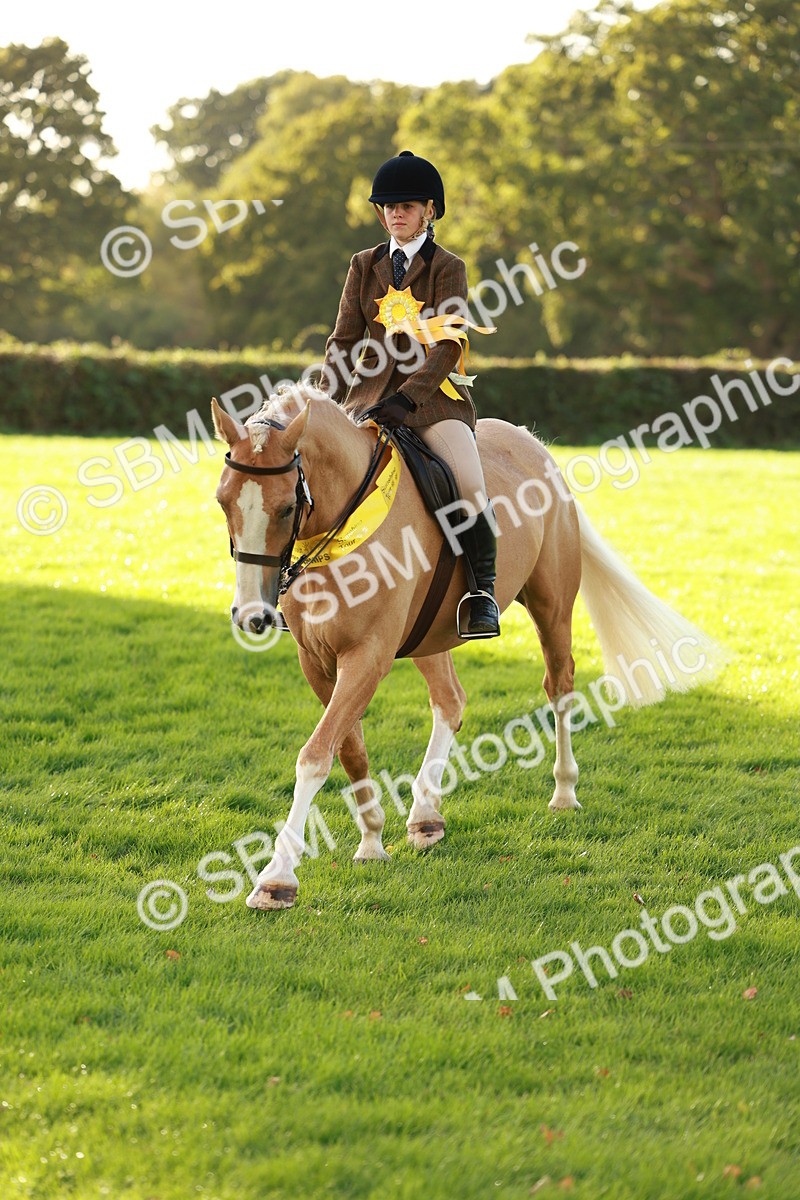 SBM_29298 - Novice & newcomer Supreme Championship