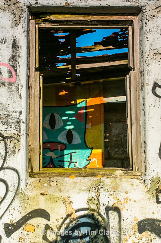 Graffiti Through Window  Dungeness 43032 - Miscellaneous/Street