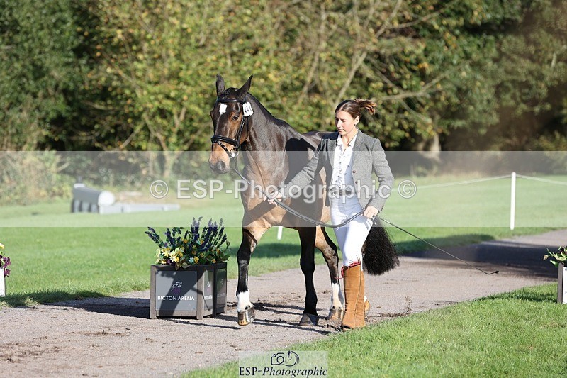 241027-093850-15409 - 441-Molly.Swain-SOCKS