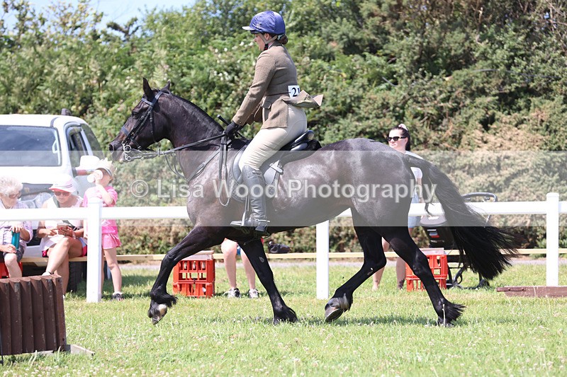 JPP_2560 - Class 21: Working Hunter 60cm