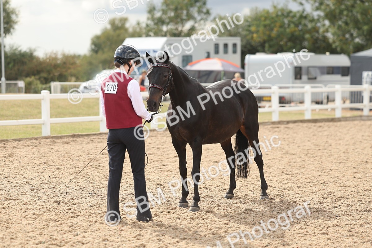 SBM_06892 - Class 25 - IH Foreign Breeds - Purebred