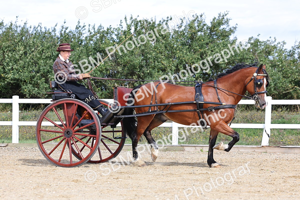 SBM_000903 - Class 8 - Novice Horse or Pony to any vehicle