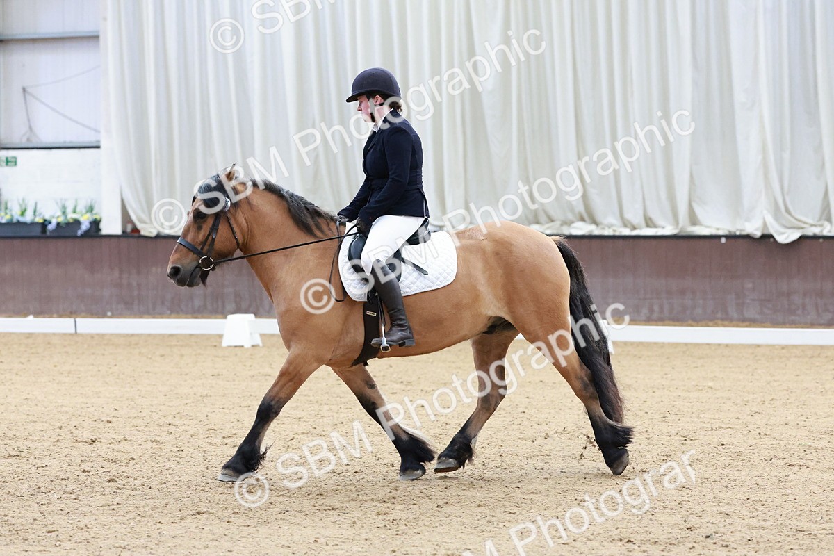 SBM_003207 - Intro 2