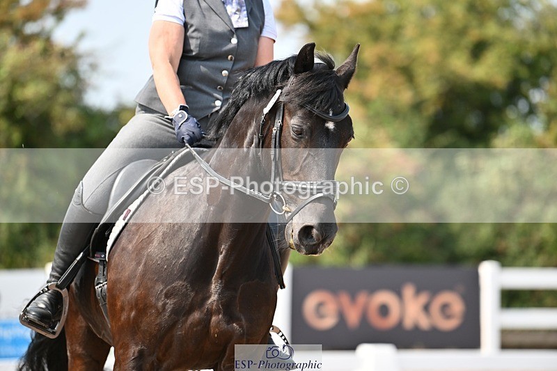 250816-132849-04701 - 115-Alison.AndrewsBercoed.Sambo