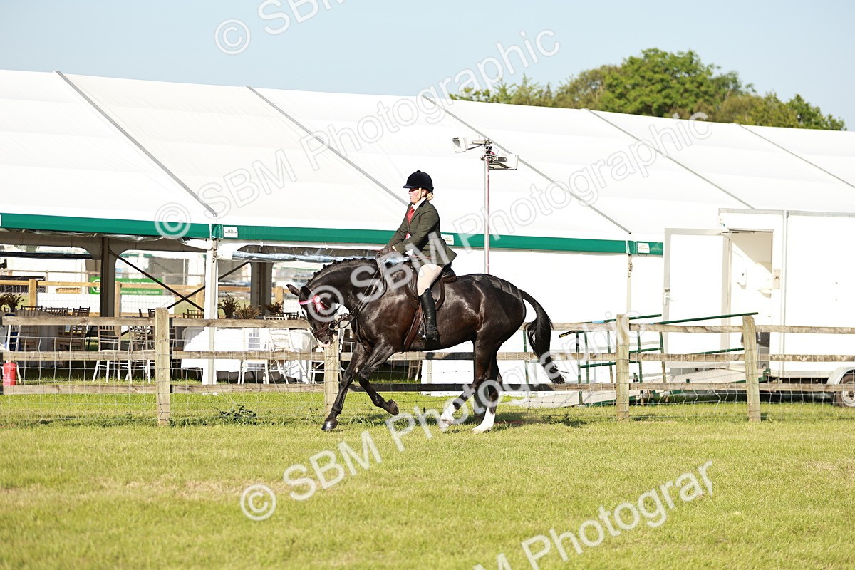 SBM_20103 - Class 115-116 - LIHS BSHA Rising Star Working Hunter & Show Horse