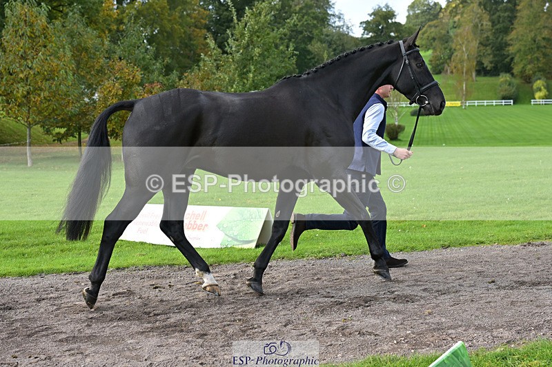 241023-132747-00307 - 058-Jack.Ashworth-TIMEPEICE.BLUE