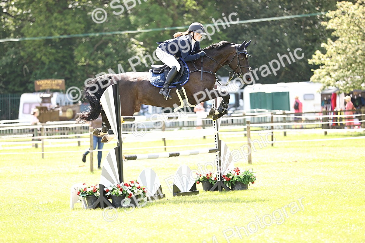 SBM_03983 - Class 201 - British Horse Feedds Speedi Beet HOYS Grade C