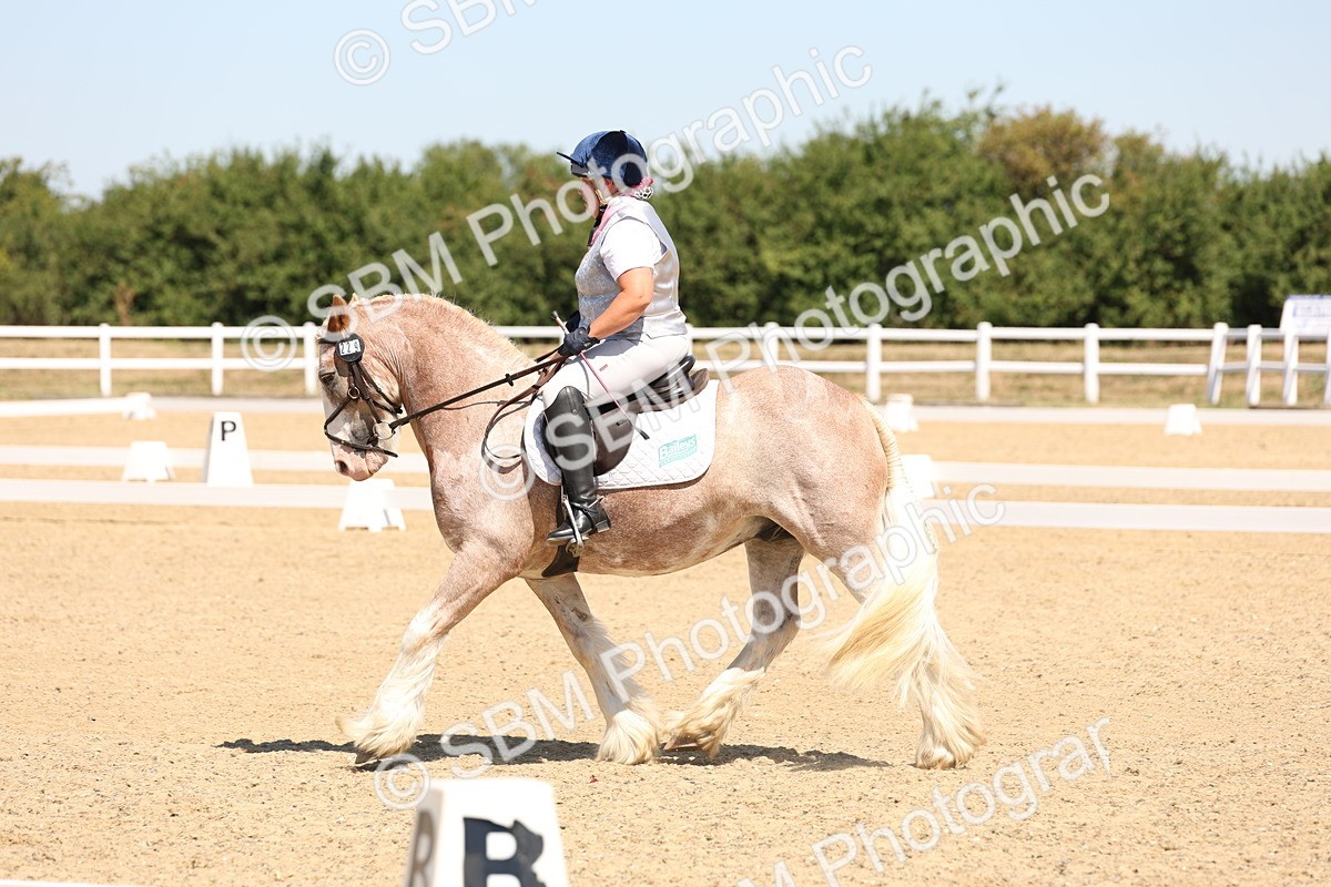 SBM_001282 - Intro 2