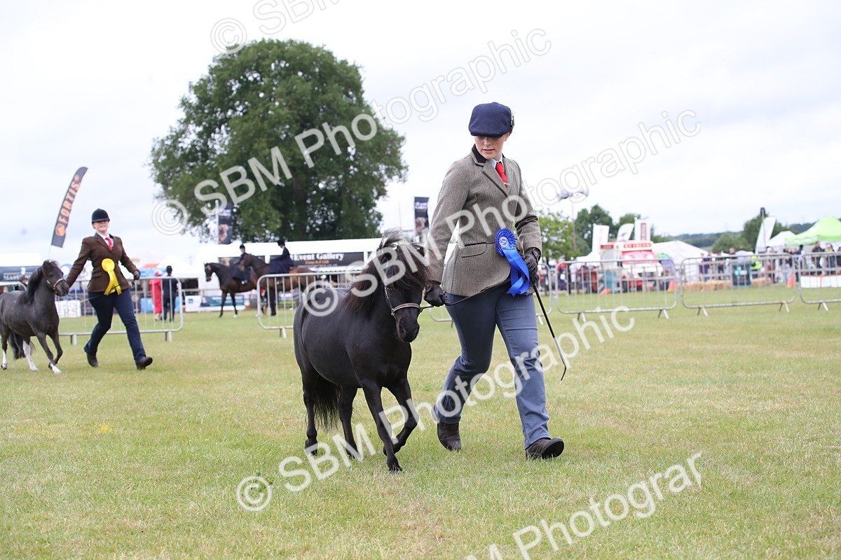 SBM_04027 - Class 23-25 - British Miniature Horse of the Year