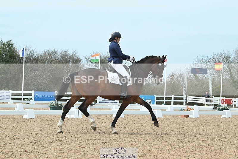 250403-134602-02695 - 037-Fay.Lai-Greenlanes.Lullaby