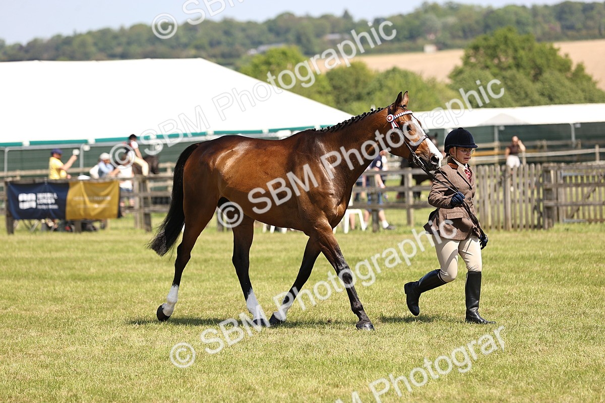 SBM_14971 - Class 78 - LIHS BSHA Open Racehorse & Show Horse