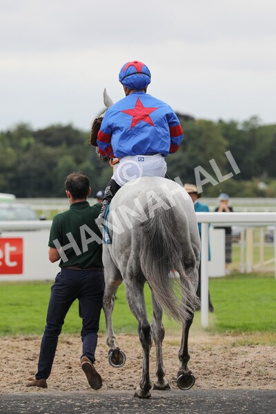 yr23072022r5-9 - Race 5 4.25pm Sky Bet UK's No1 Betting App Stakes