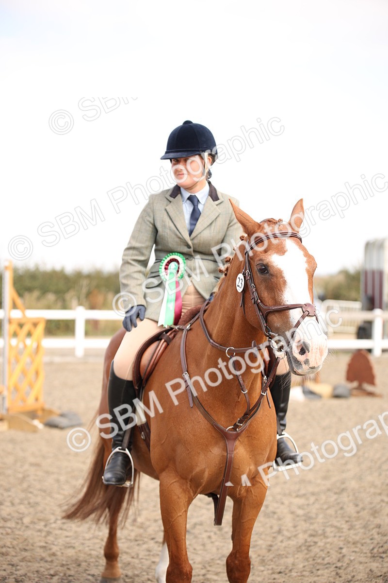 SBM_13619 - Class 406b - Working Veteran 50cm (20+)