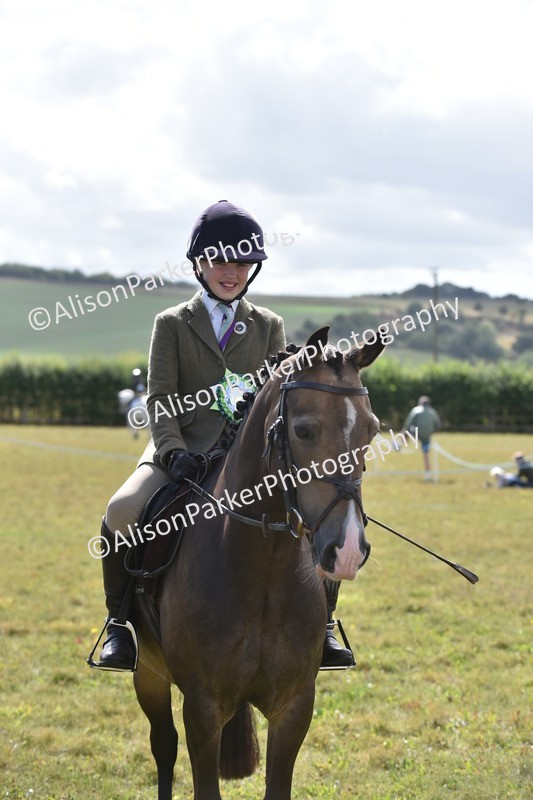 20250831-4050 - Class 12 - Working Hunter Pony 14.2hh and Under