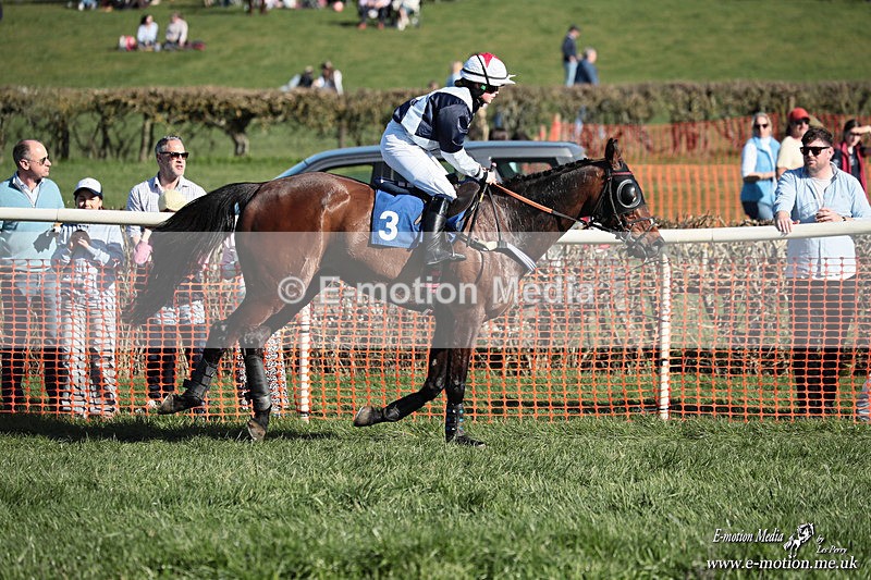 PtP 210326 646 - VWH Cirencester Races 21/03/26