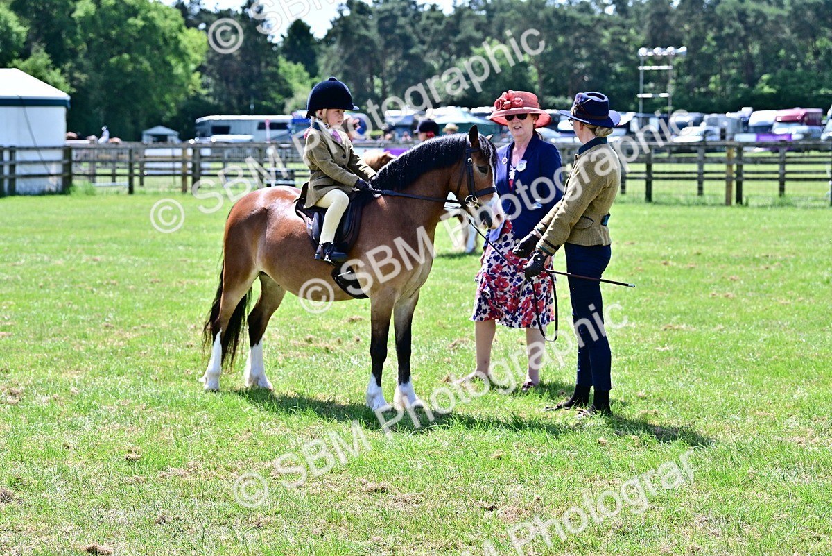SBM_05821 - Class 59-60 - TSR M&M  Lear Rein and First Ridden Amateur of the year